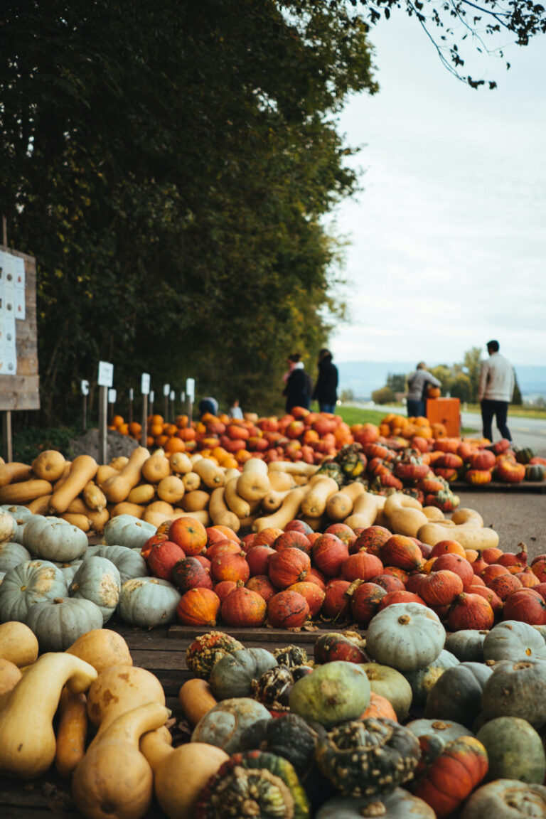 10 Ways to Reduce Food Waste